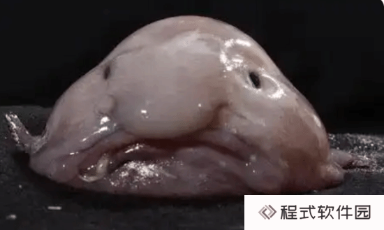 本站