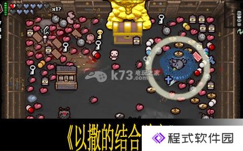 以撒的结合胎衣D7使用心得