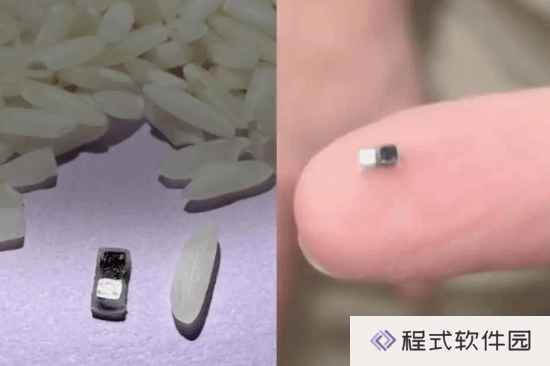 本站