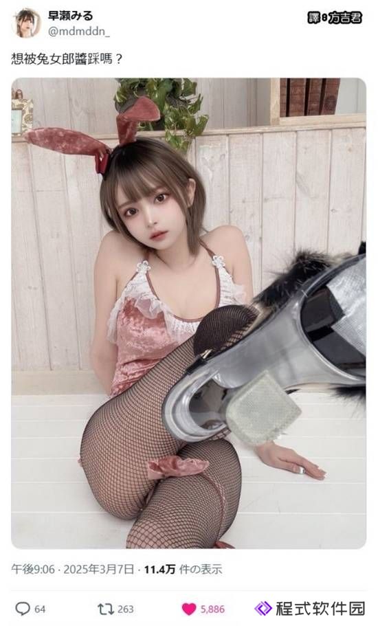 本站