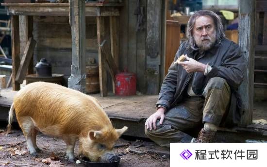 本站